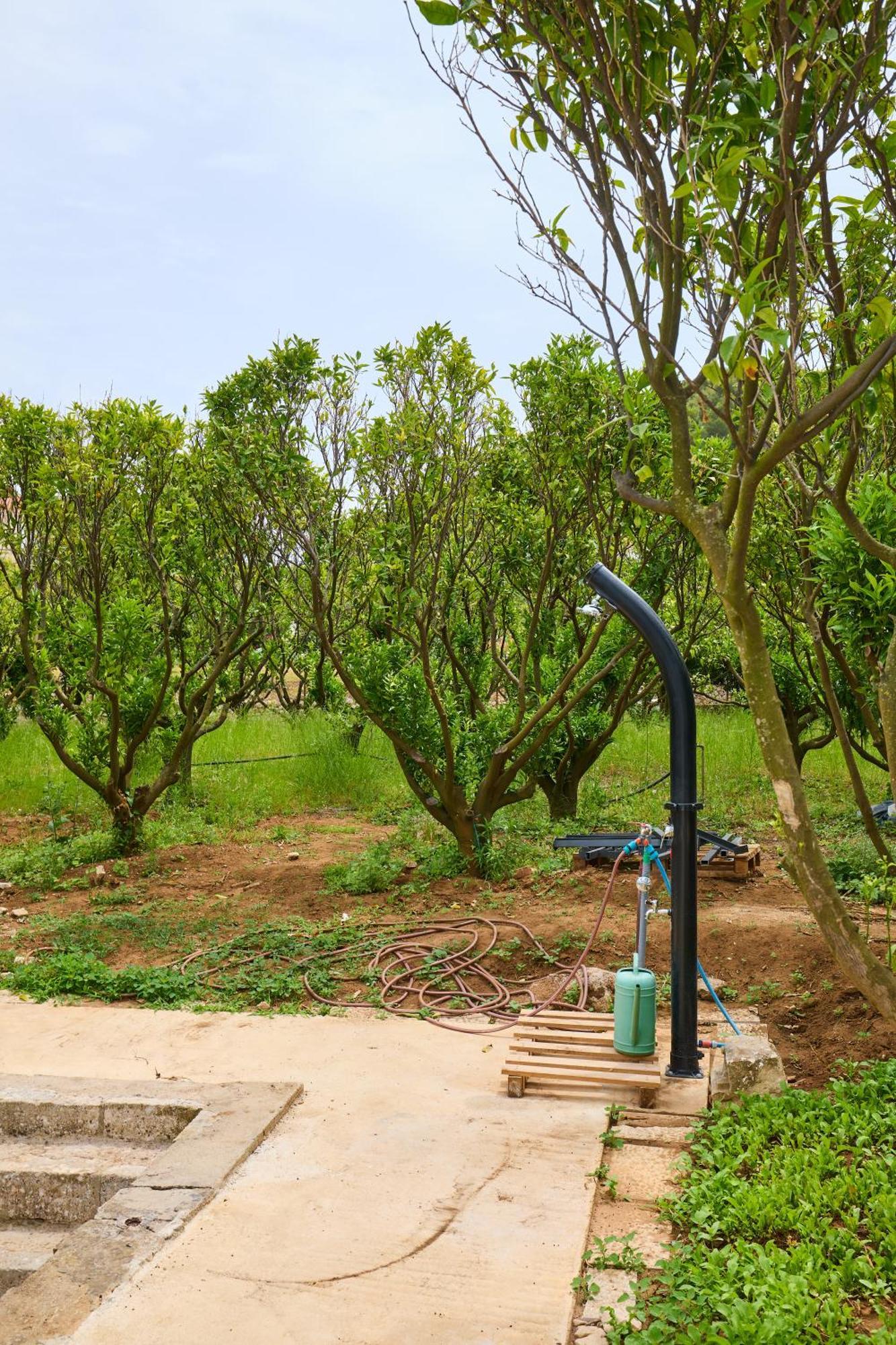 Beloc House Lopud Island Apartment ภายนอก รูปภาพ