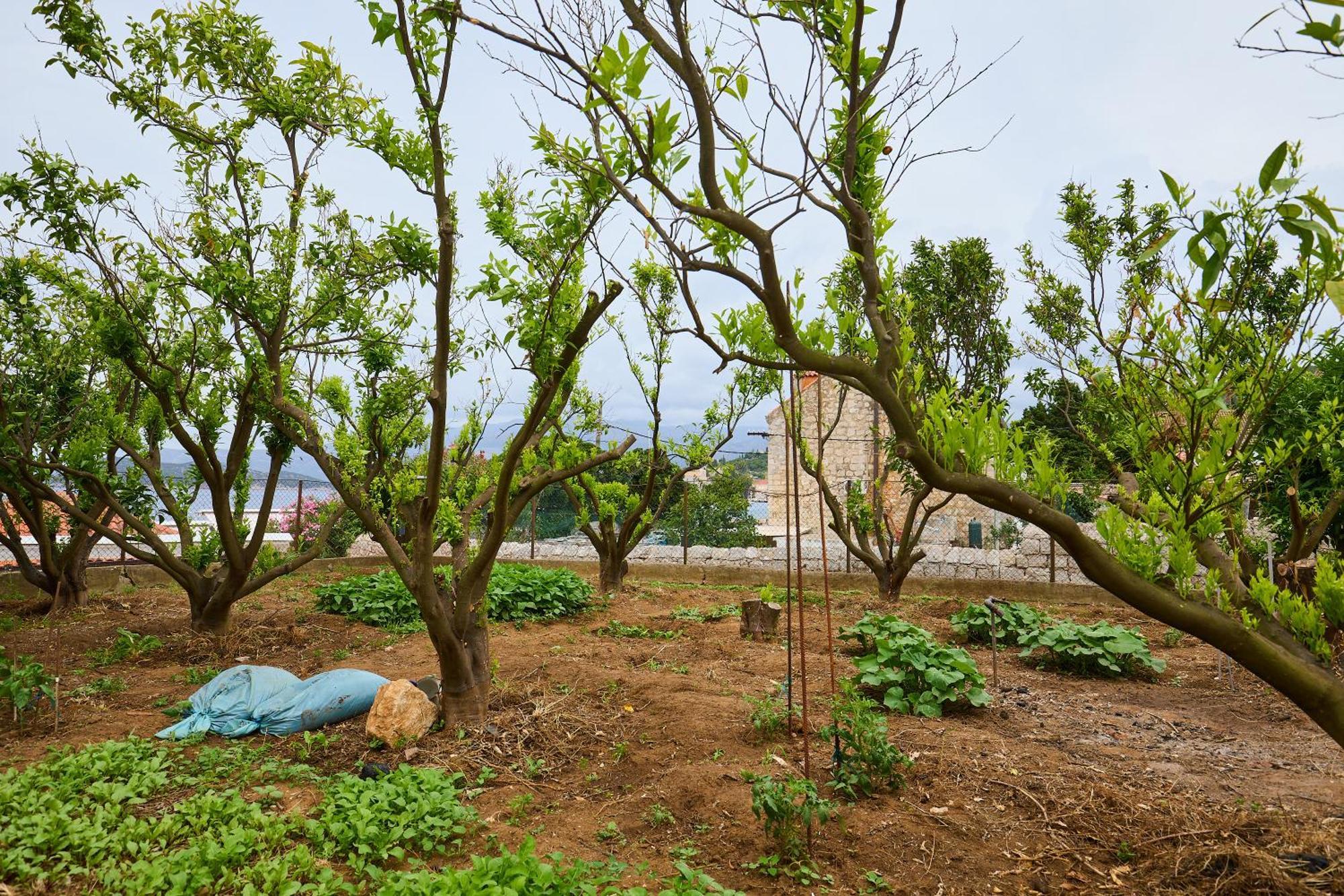 Beloc House Lopud Island Apartment ภายนอก รูปภาพ